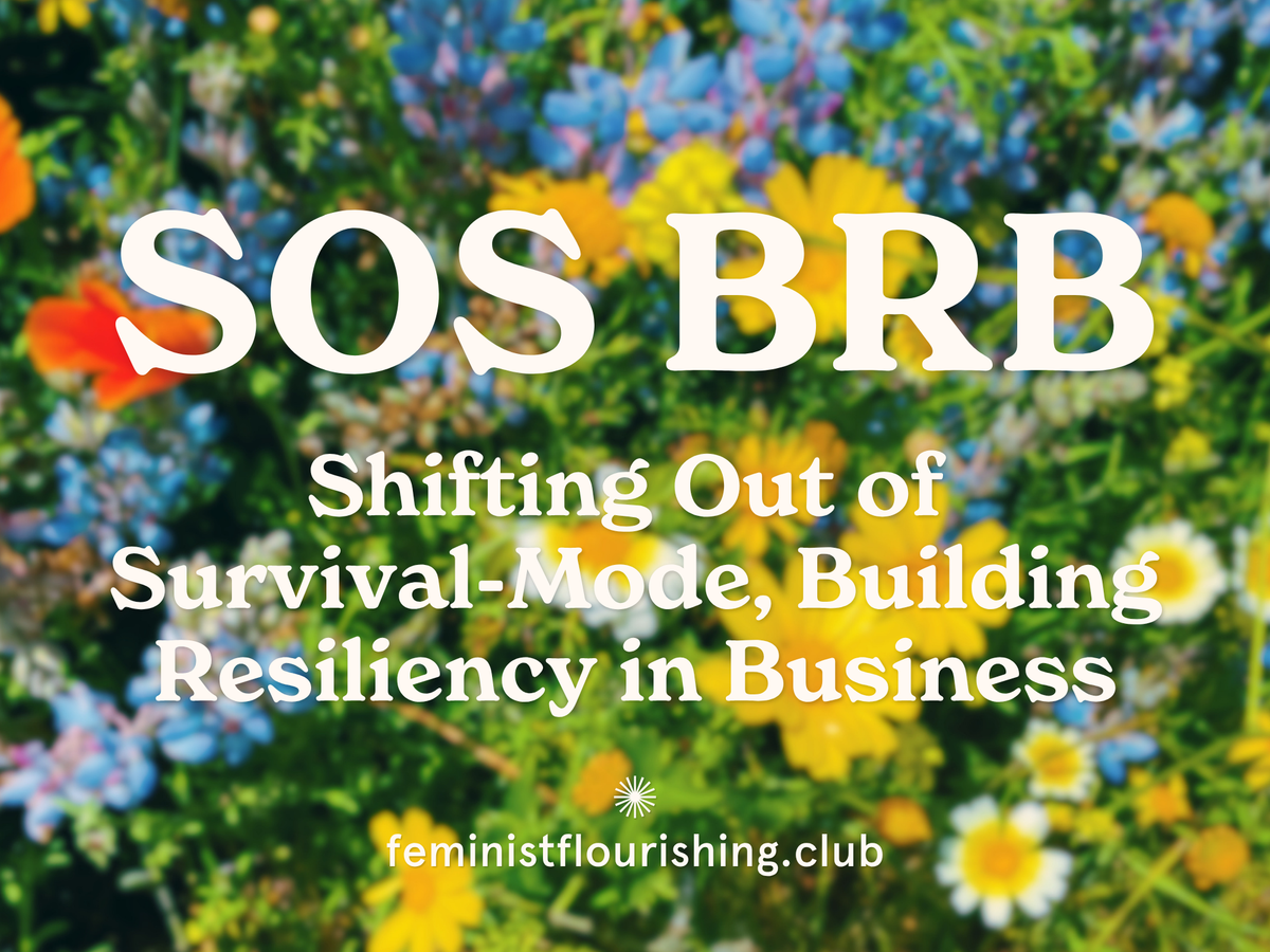 Welcome to S.O.S. B.R.B.